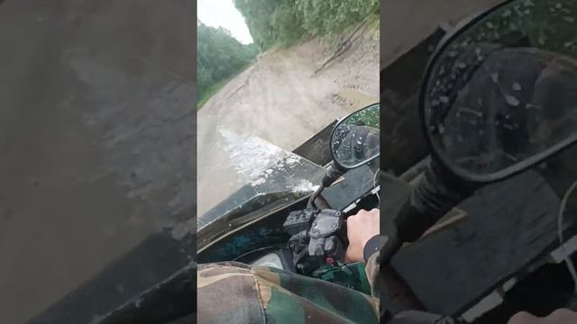 Покатушка в лес смотреть онлайн