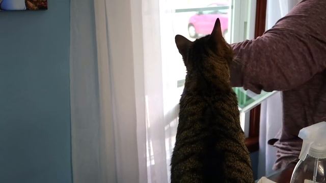 ??DINING ROOM EXTREME SPRING CLEAN/DECORATE MOTIVATION!! || SPRING CLEAN EPISODE 3! VACLIFE REVIEW смотреть онлайн