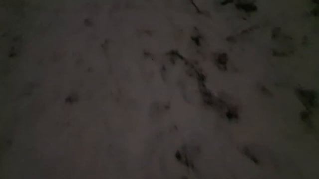 Скрип снега под ногами. ASMR: хруст снега. Что-то нравится мне в скрипе снега под ногами в мороз. смотреть онлайн