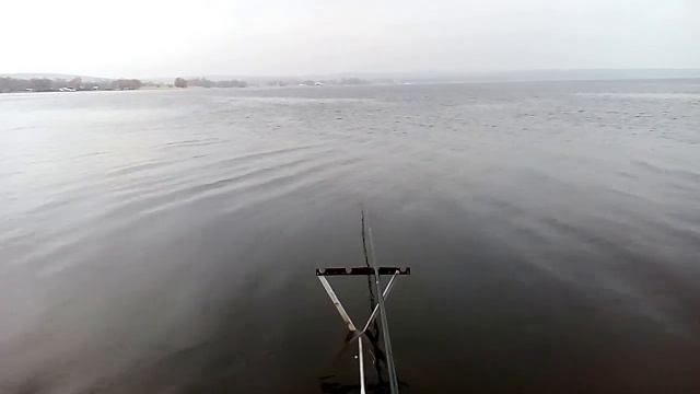 Летняя рыбалка 2020 открытие сезона смотреть онлайн