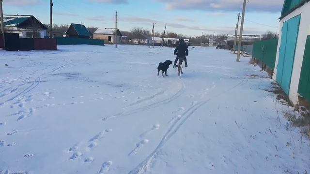 ПЕРВЫЙ СНЕГ-ПЕРВОЕ ПАДЕНИЕ! СНЕЖНАЯ ПОКАТУШКА НА МОПЕДЕ! разложился( смотреть онлайн