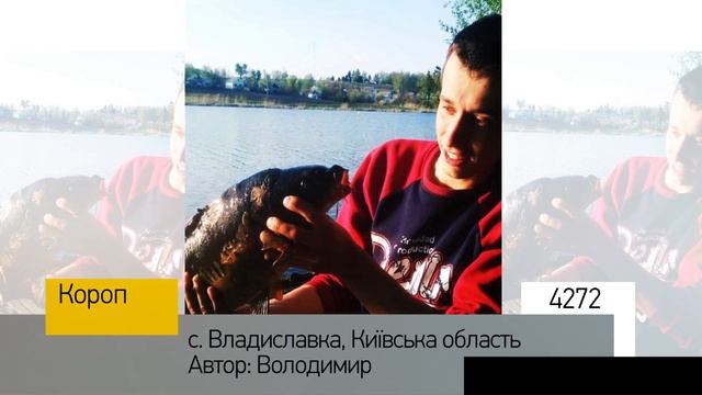 Фотоальбом - Рыбалка №995 смотреть онлайн