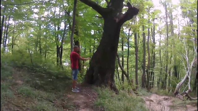 Туапсе. Посёлок Пригородный. Долмены горы Богатырка. смотреть онлайн