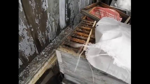 как дать зимнюю подкормку пчелам и пчел сильно не потревожить - часть 2 ( обновление 3.02.2016 ) смотреть онлайн
