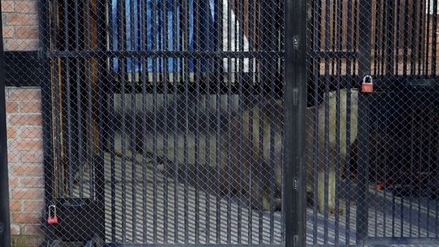 Спасение белого медвежонка смотреть онлайн