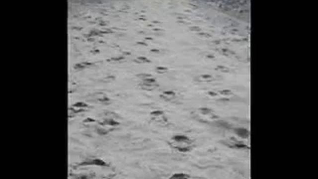 Northern Ontario 2005 смотреть онлайн
