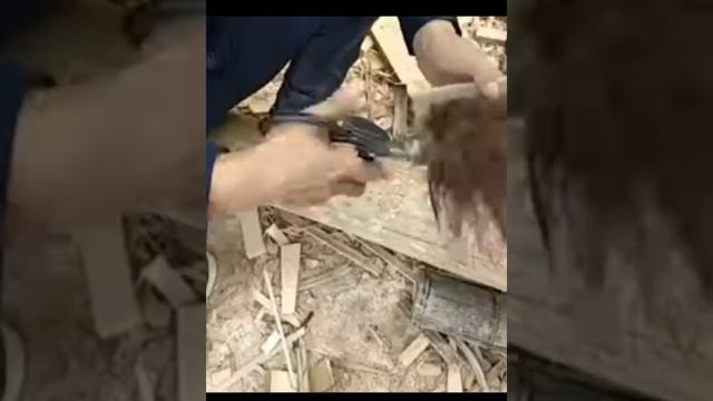 How to make a bamboo brush ????❤ смотреть онлайн
