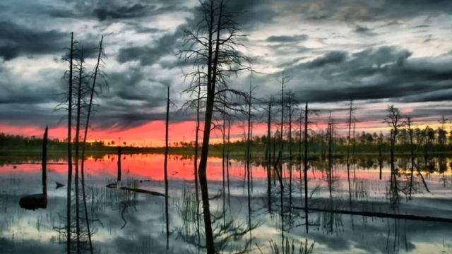 А. Лядов "Кикимора" смотреть онлайн