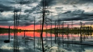 А. Лядов   "Кикимора"