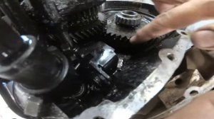 Ford Focus III гремит КПП чинить или менять ?