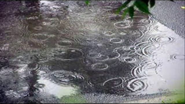 Заур Аскеров Вера Гарт Как шум дождя Исполняет Сергей Стадник смотреть онлайн