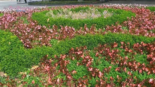 Одесса курортный город. Достопримечательности Одессы. смотреть онлайн