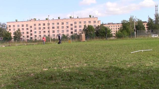 Чеснокова Алла Ризеншнауцер Cel von Elberfeld Обидиенс-1 02.09.17 смотреть онлайн