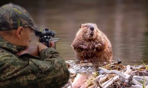 Ночная Охота на Бобра с мелкашкой Соболь 22 lr. Охота 2023.