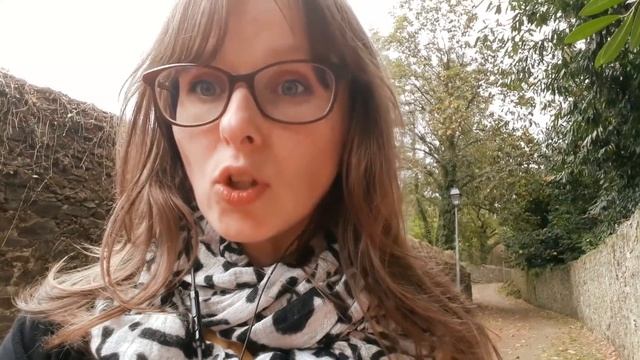 C чего начать учить французский ? смотреть онлайн