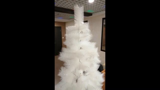 ель белая снежная смотреть онлайн