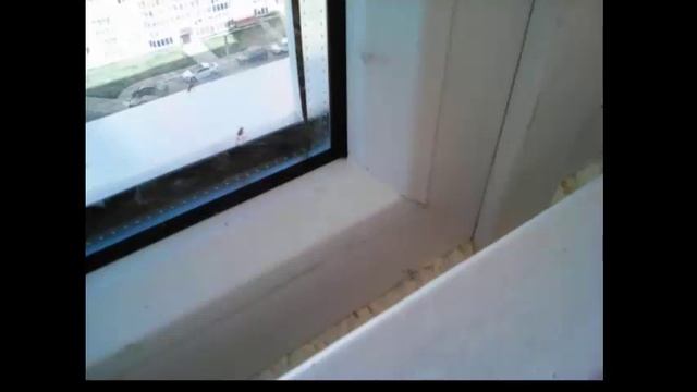 окна МАЯК город ВОРОНЕЖ смотреть онлайн