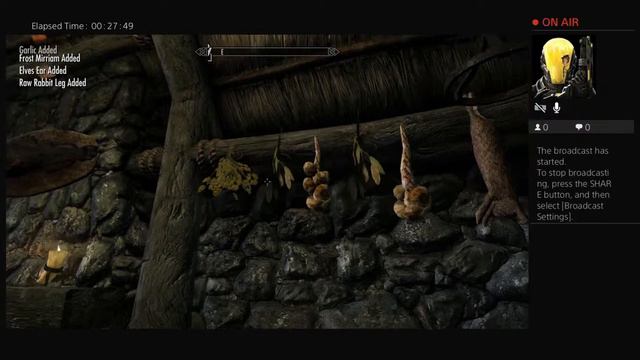 Skyrim But I'm... NAKED?!