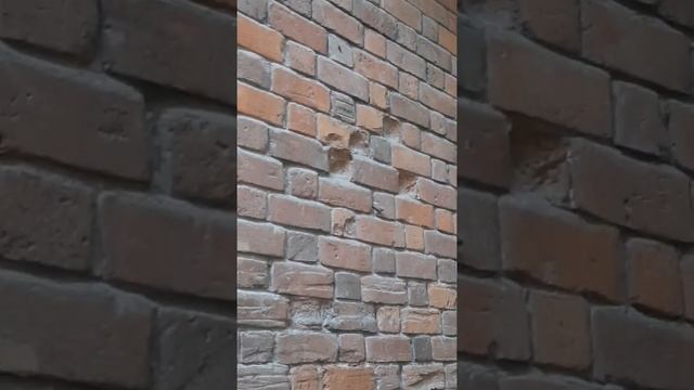 Кирпичи Летягиных. Андрей Демидов. прогулки по Самаре.