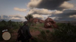 Red Dead Redemption 2 где найти "УНИКАЛЬНЫЙ МУСТАНГ" (Тигровый окрас)