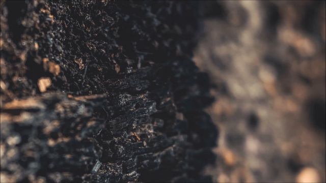Jason Fernandes - Royal Free смотреть онлайн