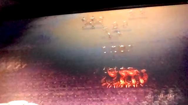 Starcraft : brood war. Lp.1 :Руины руинами смотреть онлайн