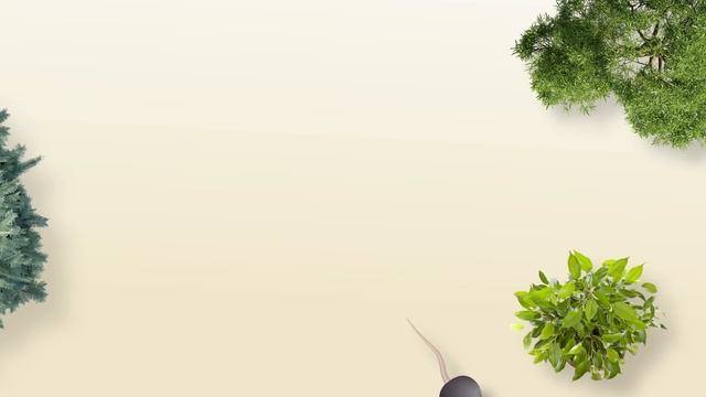 CAT TV - ULTIMATE 3D Compilation ??? For CATS ? 4K 3 HOURS