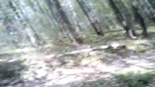 Идём на красные озёра /нашли родник√2 смотреть онлайн