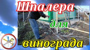 Шпалера для винограда своими руками (одноплоскостная). Как сделать шпалеру для винограда.