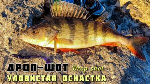 ДРОПШОТ - УЛОВИСТАЯ ОСНАСТКА и ПРОВОДКА, ОКУНЬ рыбалка на спиннинг ноябрь 2020 Тольятти Нижние шлюза