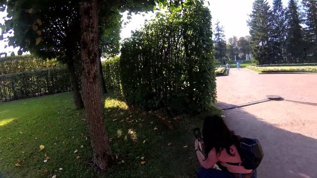 Царское село, Пушкин - парки (нарезка) смотреть онлайн