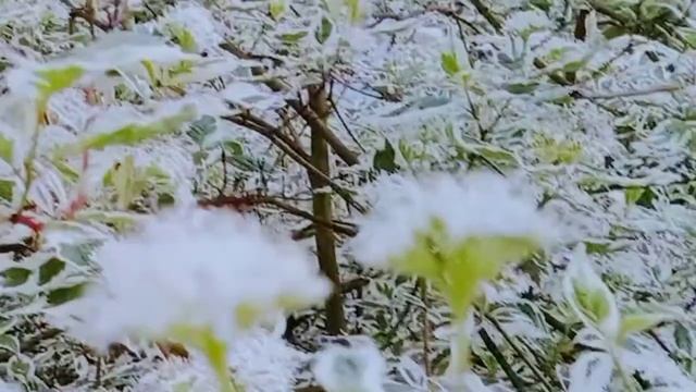 НАСТРОЙКА НА БОДРЫЙ ДЕНЬ смотреть онлайн