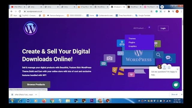 Top 5 WordPress Marketplace in the world. смотреть онлайн