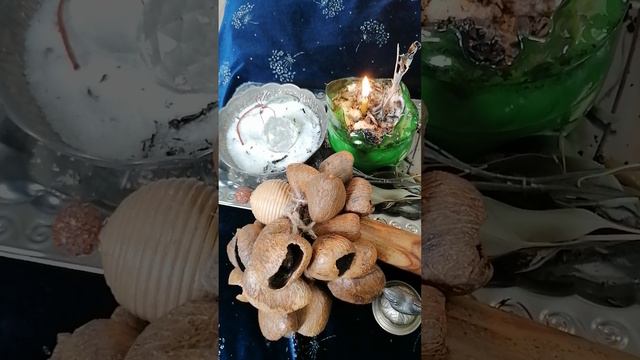 ОТКАТЫ. ЧТО ДЕЛАТЬ? #общение #откат #katuna_healer #проработка #прогноз #чтобудет #чтоделать #магия смотреть онлайн