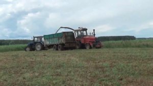 УЭС-280 «Полесье»: Подкашивание трав на корм скоту.