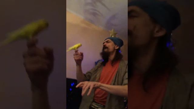 Новогодние танцы с птичкой под Шуру just dance 2022 шура смотреть онлайн