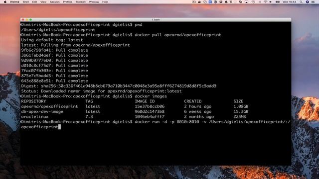 APEX Office Print (AOP) on Docker смотреть онлайн