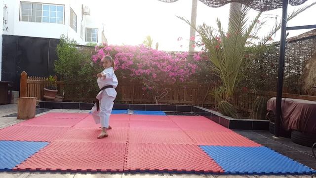 Kanku Sho Fayrouz Ahmed ADIDAS KARATE OPEN E-TOURNAMENT - KATA смотреть онлайн