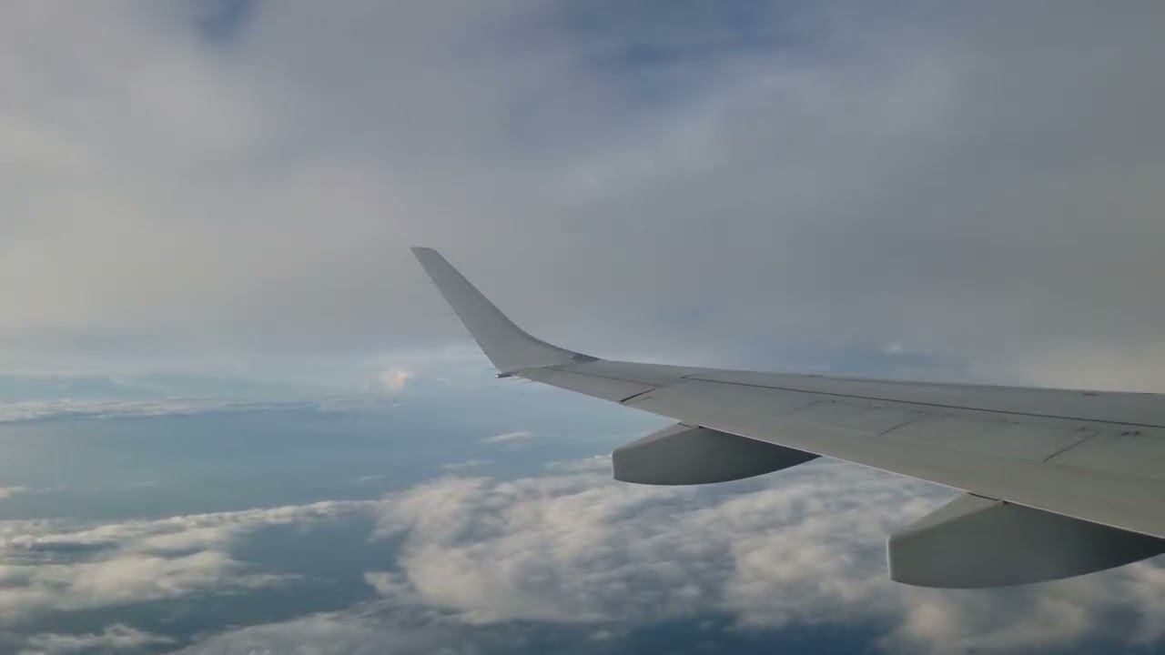 страшно как красиво смотреть онлайн