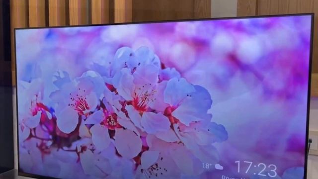 Телевизор TCL 32s5400AF ИЛИ XIAOMI A2 ЧТО ВЫБРАТЬ смотреть онлайн