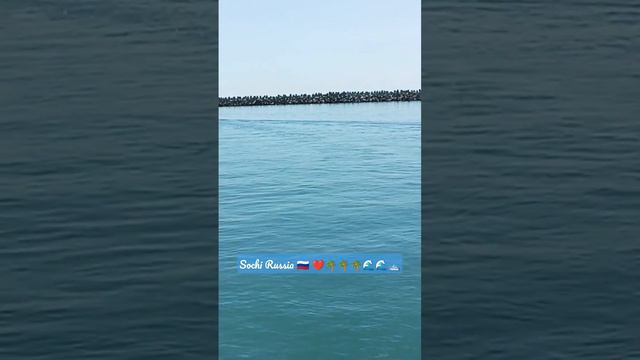 Сочи, прекрасный город на берегу Черного моря ❤🌊🇷🇺🌞🌴🌴🌴🌊🌊🏖🛥 смотреть онлайн