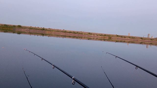 Вечерняя рыбалка на замуленном,Стахановский отстойник,толстые караси смотреть онлайн