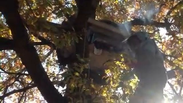 Добыча меда с колод 2018 смотреть онлайн