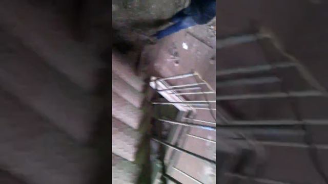 Сталк в костроме смотреть онлайн