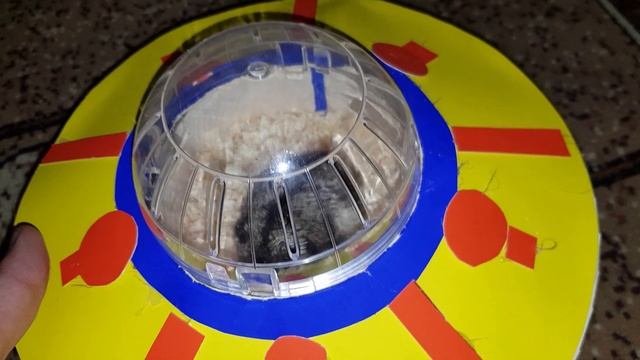 ПОБЕГ ХОМЯКА НА ЛЕТАЮЩЕЙ ТАРЕЛКЕ ( СВОИМИ РУКАМИ ) смотреть онлайн