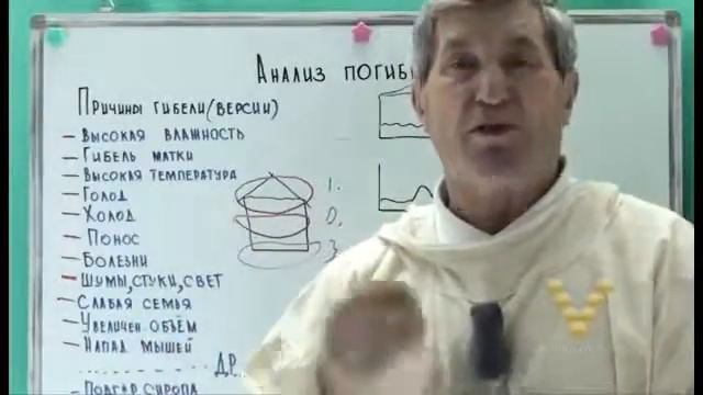 Почему гибнут пчёлы смотреть онлайн