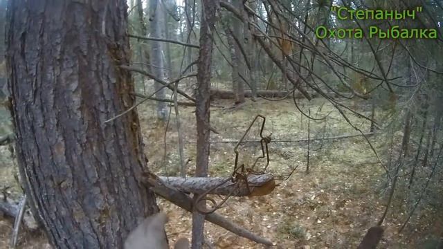 На трицикле на день к Чаёвне (1 часть) 17 10 20 смотреть онлайн
