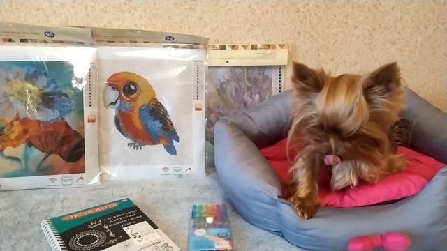 Покупки ?ФИКС ПРАЙС ДЕКАБРЬ смотреть онлайн