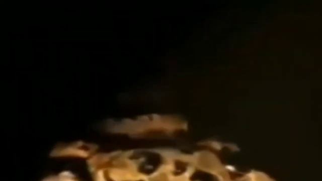Спрингтрап смеётся, но наоборот смотреть онлайн