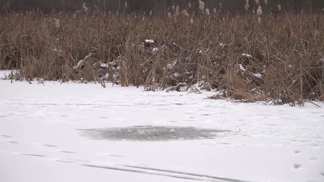 Experiment: Many Different Things In Deep UnderICE | ICE Vs
